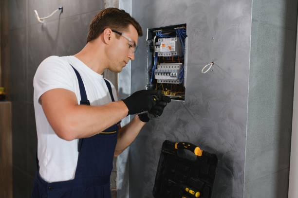 Best Electrical System Inspection  in Dogtown, CA